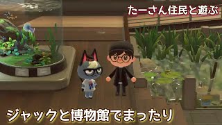 本編動画【あつ森】ジャックと博物館へ@たーさんの趣味の部屋 #たーさん住民と遊ぶ#mochachan島