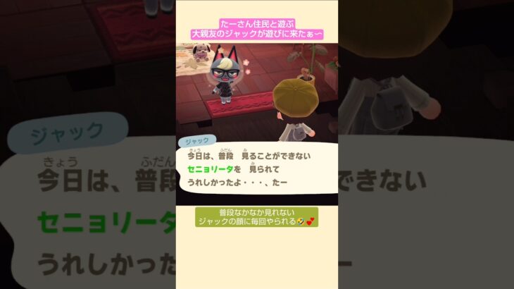 【あつ森】ジャックと大親友になると帰らなくなる@たーさんの趣味の部屋 #mochachan島 #たーさん住民と遊ぶ#shorts