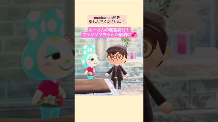 【あつ森】フランソワちゃんが宿泊に！@たーさんの趣味の部屋 #mochachan島 #たーさんの客室訪問 #shorts