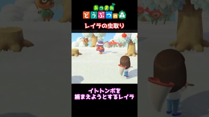 【おばちゃんのあつ森生活】レイラが虫取りに挑戦　🌳あつ森初心者🌳 #あつまれどうぶつの森 #nintendo #animalcrossingnewhorizons #ショート動画