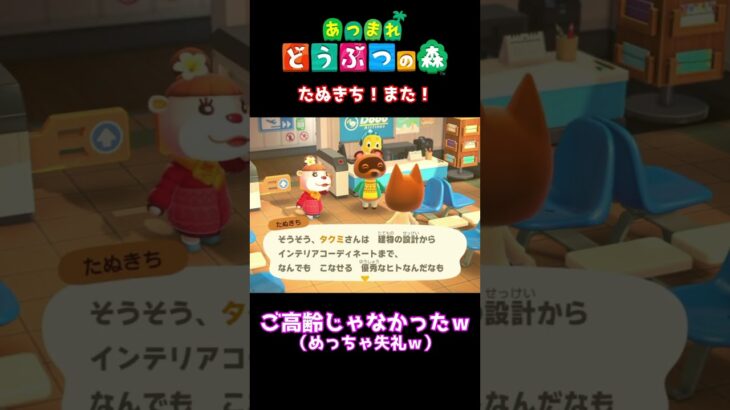 【おばちゃんのあつ森生活】タクミさん…？嫌な予感が…　🌳あつ森初心者🌳 #あつまれどうぶつの森 #nintendo #animalcrossingnewhorizons #ショート動画