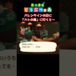 【おばちゃんのあつ森生活】バレンタインの日に、カフェ「ハトの巣」に行くと…　🌳あつ森初心者🌳 #あつまれどうぶつの森 #nintendo #animalcrossingnewhorizons