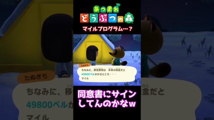 【おばちゃんのあつ森生活】マイルプログラム…？　🌳あつ森初心者🌳 #あつまれどうぶつの森 #nintendo #animalcrossingnewhorizons #ショート動画 #shorts