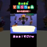 【おばちゃんのあつ森生活】島の名前決定！　🌳あつ森初心者🌳 #あつまれどうぶつの森 #nintendo #animalcrossingnewhorizons #ショート動画 #shorts