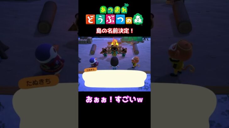 【おばちゃんのあつ森生活】島の名前決定！　🌳あつ森初心者🌳 #あつまれどうぶつの森 #nintendo #animalcrossingnewhorizons #ショート動画 #shorts