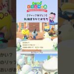 キザなふたり… #あつ森 #nintendoswitch2