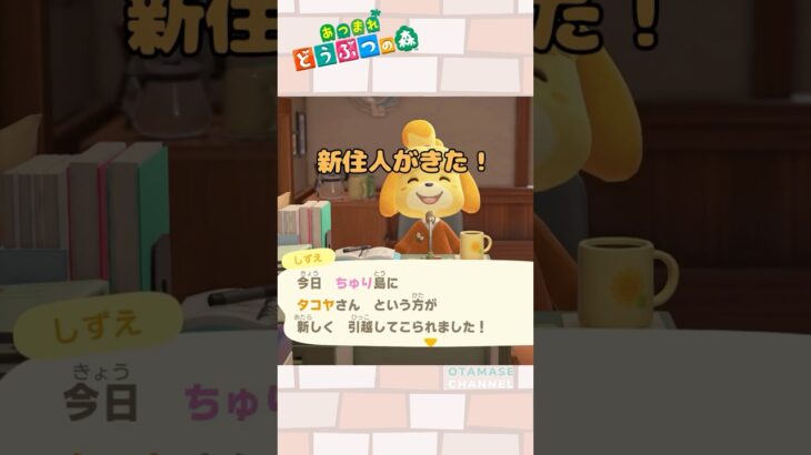 【あつ森小ネタ】新住民、なにかがおかしい#shors  #あつ森 #あつまれどうぶつの森