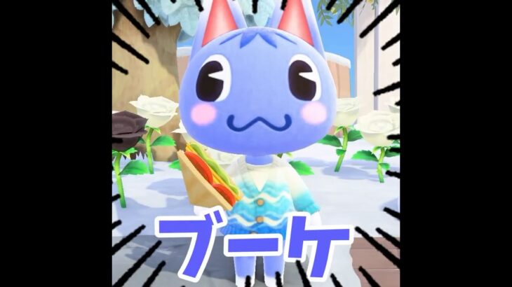 【あつ森】まさかの・・感動の再会だぁぁ！！ #shorts #あつ森 #あつまれどうぶつの森