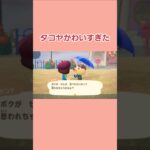 タコヤかわいすぎた　#shorts  #あつ森
