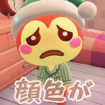 【あつ森】リリアンの顔色が・・・ #shorts #あつ森 #あつまれどうぶつの森