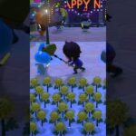 【あつ森】カウントダウンイベントでもプースケを網で叩いていました★ #shorts #あつ森