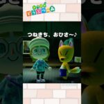 【あつ森小ネタ】思い込みってこわい #shorts  #あつ森 #あつまれどうぶつの森