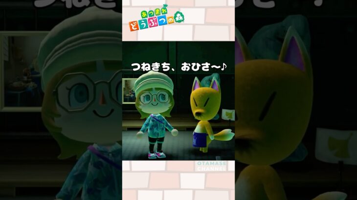 【あつ森小ネタ】思い込みってこわい #shorts  #あつ森 #あつまれどうぶつの森
