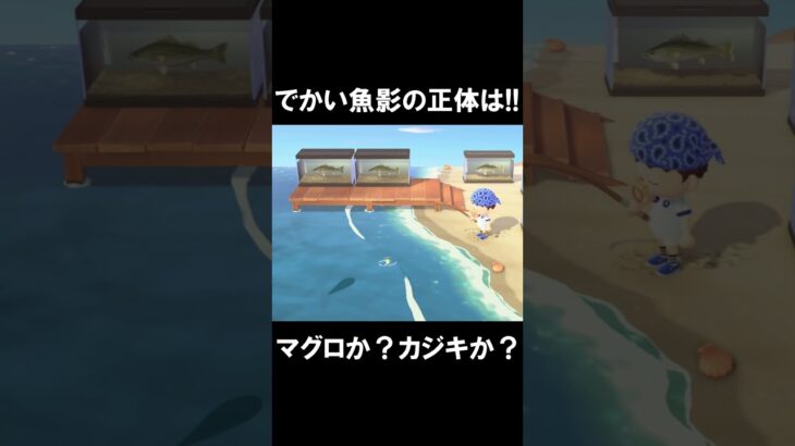 【あつ森】そ、そうですよね～ #shorts #あつ森 #あつまれどうぶつの森