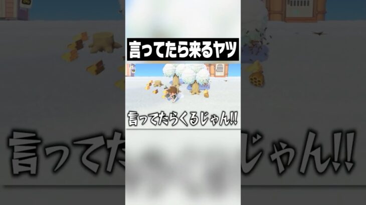 言ってたら来るヤツ #shorts #あつ森 【あつまれどうぶつの森】