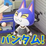 【あつ森】バンタムのお腹を満たしたい・・！！#shorts  #あつ森 #あつまれどうぶつの森