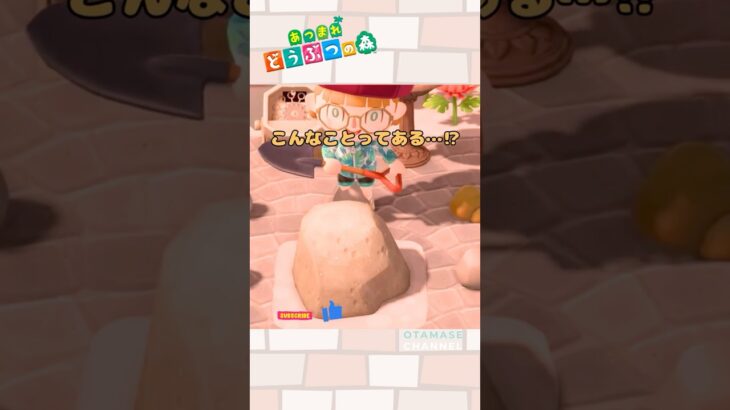 【あつ森小ネタ】え？こんなことある…？#shorts  #あつ森 #あつまれどうぶつの森