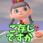 【あつ森】大変身！！魔法のかけらの秘訣とは・・ #shorts #あつ森 #あつまれどうぶつの森