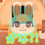 【あつ森】キャンプサイトにあのお方が・・！ #shorts #あつ森 #あつまれどうぶつの森