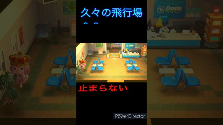 久々の飛行場✈️どこに行こうかな？/あつ森日和#shorts