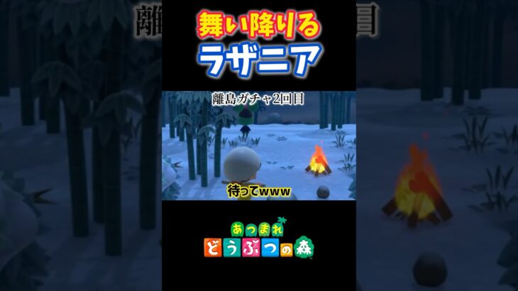 風穴を開けろ！ラザニア🐭あつ森#shorts