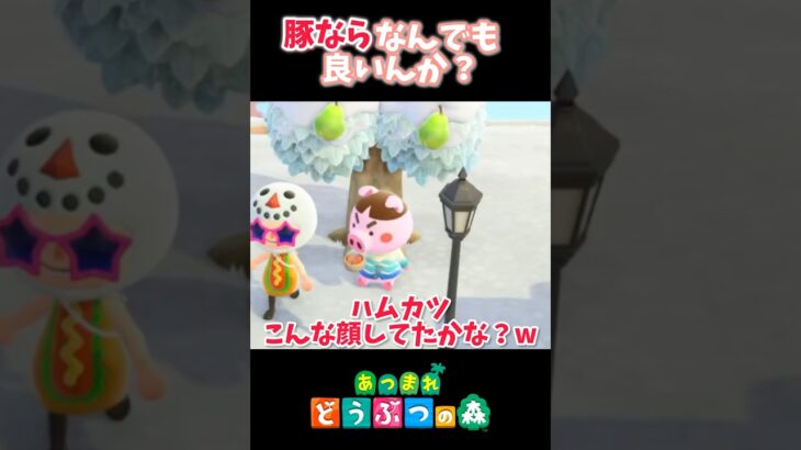 ハムカツもトンコ間違えた🐷あつ森#shorts