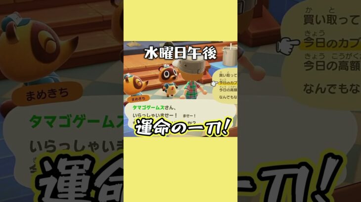 【 あつ森 】全賭カブチャレンジ #あつ森 #ゲーム実況 #shorts