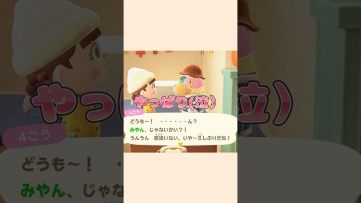 【あつ森】初期住民の４ごうと久しぶりの再会！！？|特別なお客様|#あつ森#shorts