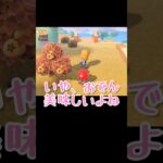 おでんの具何が好き？【あつまれどうぶつの森】#あつ森 #ゲーム実況 #shorts