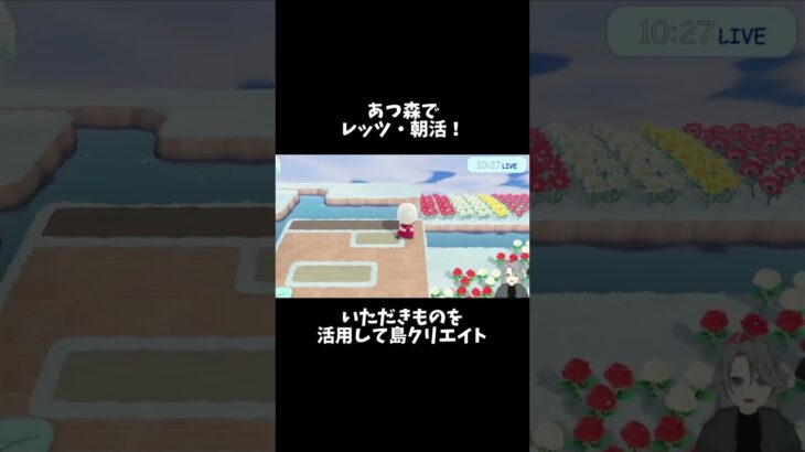 【#あつ森実況 】珍しく朝にあつ森をやってみた #shorts