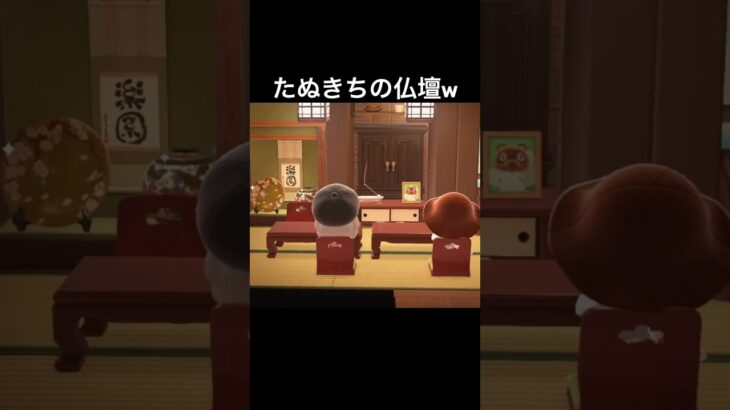 たぬきち…良い奴だったなあ🥺 #あつ森 #あつまれどうぶつの森 #ゲーム実況 #shorts