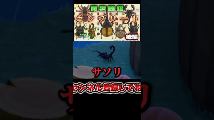 サソリはこうやって捕まえるんだ！ #あつ森 #あつまれどうぶつの森 #どうぶつの森 #ゲーム実況 #ゲーム #shorts