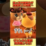 末っ子の語彙力が急成長した結果、、#あつ森 #あつまれどうぶつの森 #shorts