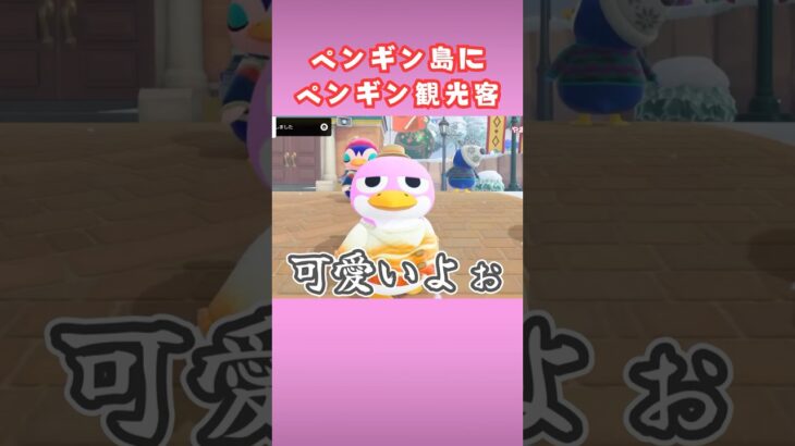 【奇跡】ペンギン島にきたペンギン観光客ホッケー【あつ森】#shorts