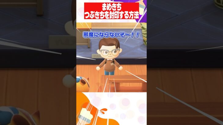 【あつ森】たぬき商店のまめきちとつぶきち・観光客を封印しよう #あつ森 #shorts