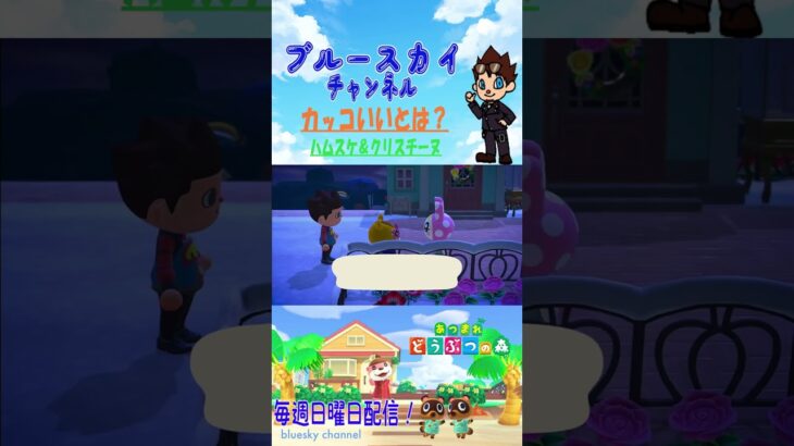 [あつ森]カッコいいとは？ ハムスケ🐹＆クリスチーヌ🐰#shorts