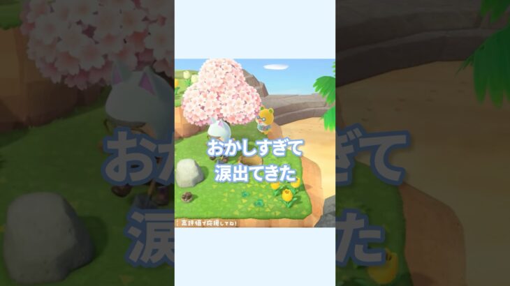 自信満々で名前言った結果…😂 #あつ森 #離島ガチャ #ゲーム実況 #どうぶつの森 #shorts