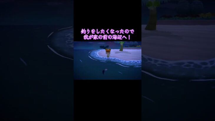 【あつ森】初ゲット！#shorts #あつまれどうぶつの森 #あつ森 #ゲーム #任天堂Switch