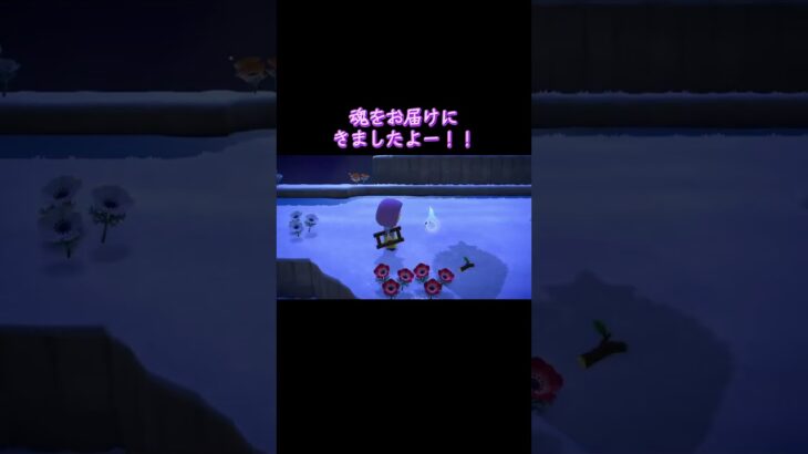 【あつ森】 オバケと遭遇！#shorts #あつまれどうぶつの森 #あつ森 #ゲーム #任天堂Switch