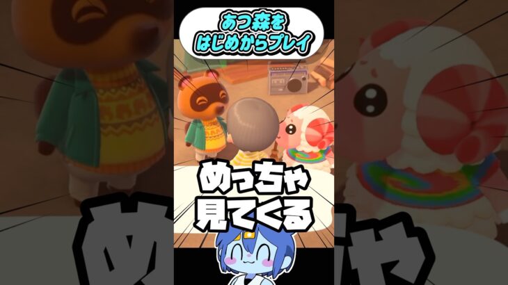 至近距離のちゃちゃまる【あつ森実況プレイ】 #shorts #ゲーム実況 #あつまれどうぶつの森 #あつ森 #animalcrossing #実況プレイ #女性実況