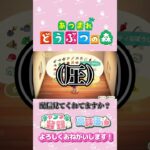 【あつ森】サンリオシリーズ　キティちゃん家具♪　#shorts   #animalcrossing