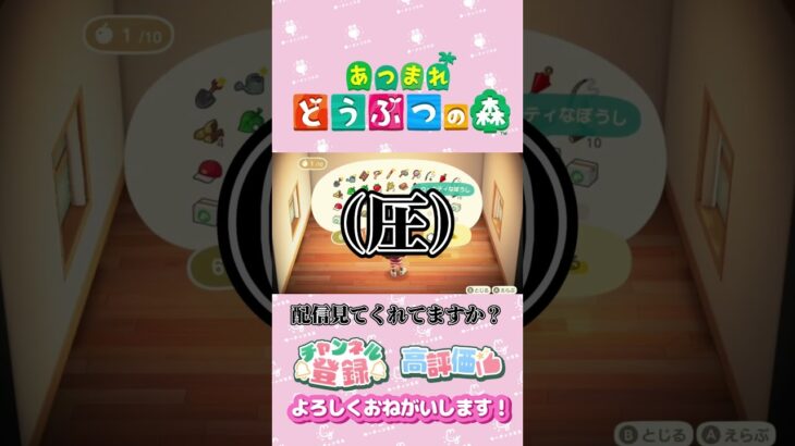 【あつ森】サンリオシリーズ　キティちゃん家具♪　#shorts   #animalcrossing