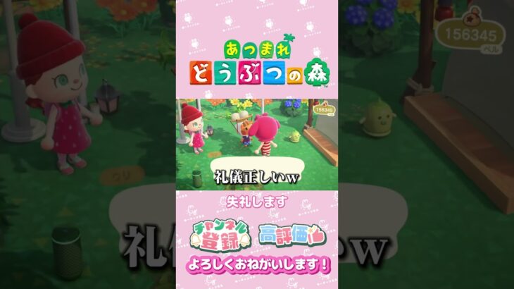 【あつ森】これはズルですか？　カブ大勝利！　ローン完済したよ♪　#shorts   #animalcrossing