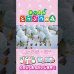 【あつ森】マリオカートやってみたい！　#shorts   #animalcrossing