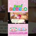 【あつ森】初写真は、、、？！？！この子でした🐰🌸　#shorts   #animalcrossing