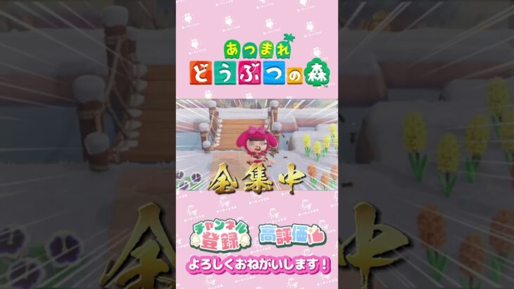 【あつ森】全集中！！！修行　#shorts   #animalcrossing