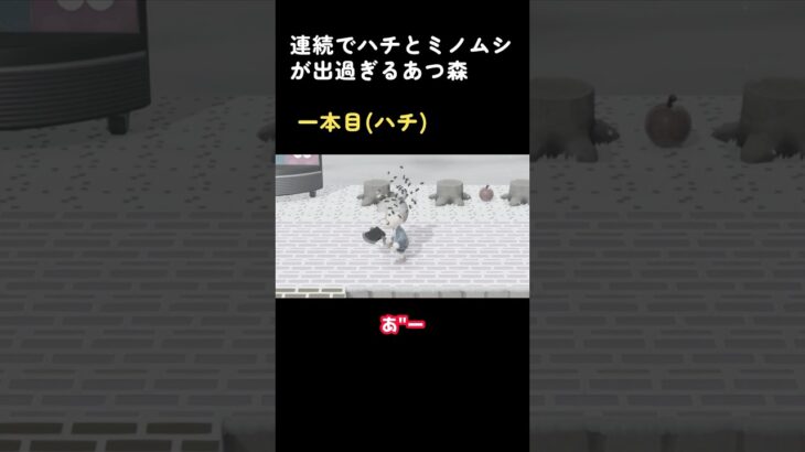 連続でハチとミノムシが出過ぎﾙ #あつ森 ! #shorts #animalcrossing