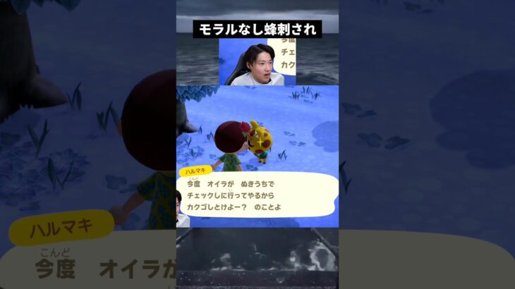 ハルマキに会うと良いことない  #shorts #nintendo #ゲーム #あつ森
