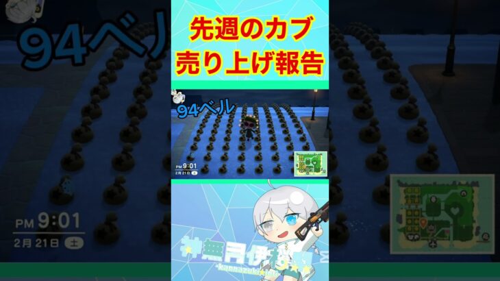【#あつ森 】カブで大儲け！遂に〜〜万ベル越え！！！#shorts #vtuber #個人勢vtuber #あつまれどうぶつの森