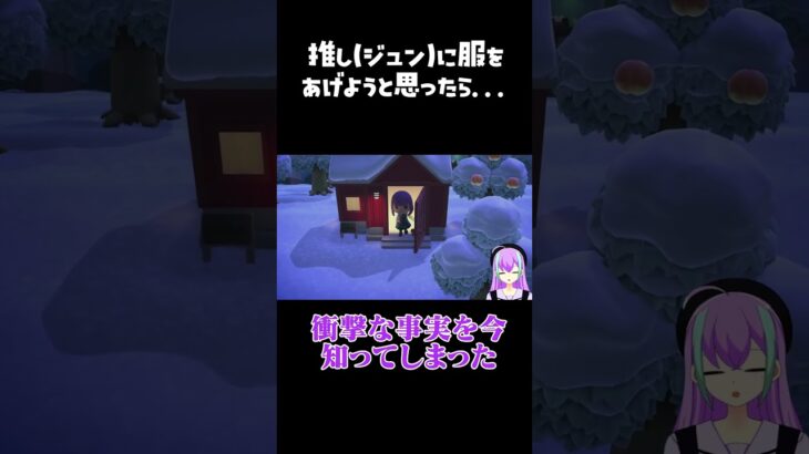 【あつ森】ジュンくんにあげようと思ってたのに… #あつ森 #shortvideo